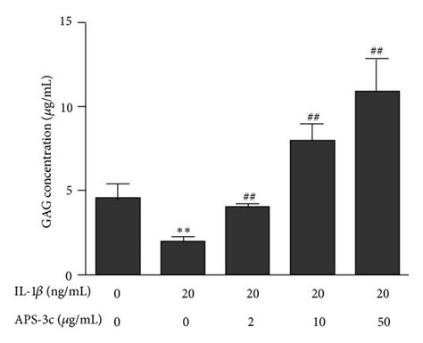 Effect Of Angelica Sinensis Polysaccharides Aps 3c On Proteoglycan