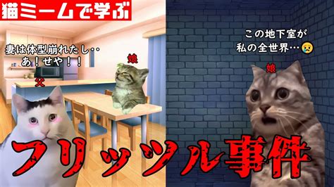 猫ミームで学ぶフリッツル事件 猫マニ 猫ミーム Youtube