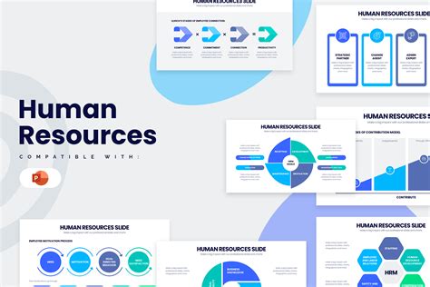 Hr Infographic Template