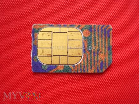 Plus GSM (3) w Muzeum Juranda w MyViMu.com