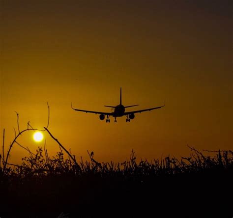 Periodo Di Prova Contratto Trasporto Aereo Ccnl Durata Calcolo