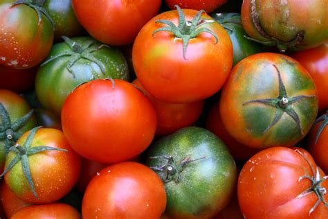 Gambar Menanam Buah Makanan Merah Menghasilkan Sayur Mayur