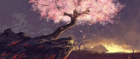 Árbol De Flores De Sakura Hd Descargar Fondo De Pantalla
