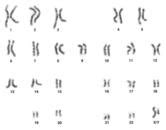 Difference between a Genome, Proteome & Metabolome