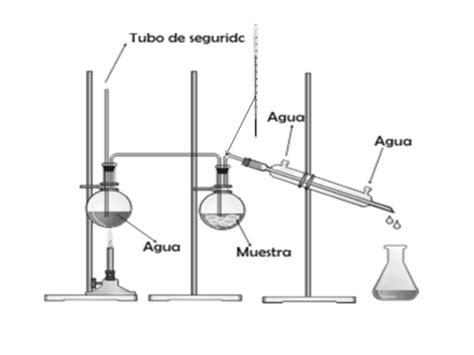 Destilación Por Arrastre De Vapor Todo Lo Que Necesitas Saber Club