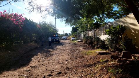 Enjambre De Abejas Ataca A Varias Personas En La Colonia El Barrio En