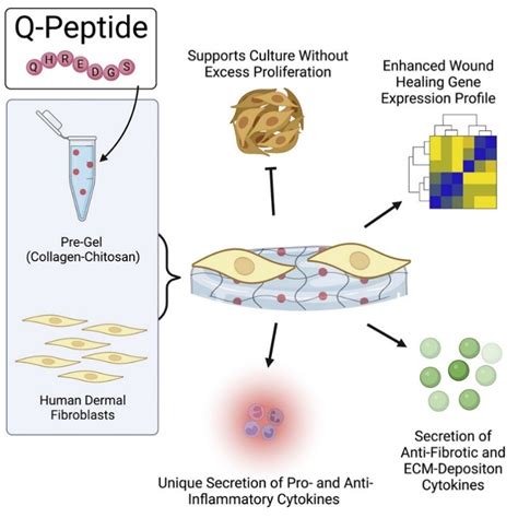 Three Inventive Biomedical Applications for Synthetic Peptides