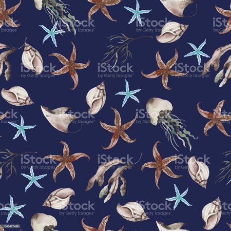 Sea Nautical Marine Pattern With Isolated Hand Painted Watercolor Stock