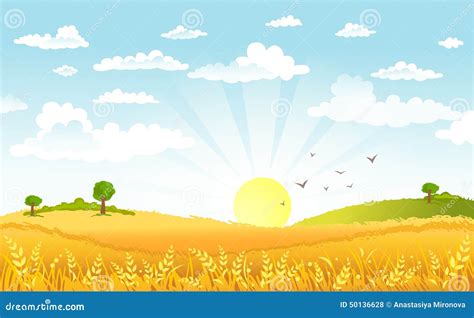 Countryside Panorama In The Morning Stock Vector Illustration Of