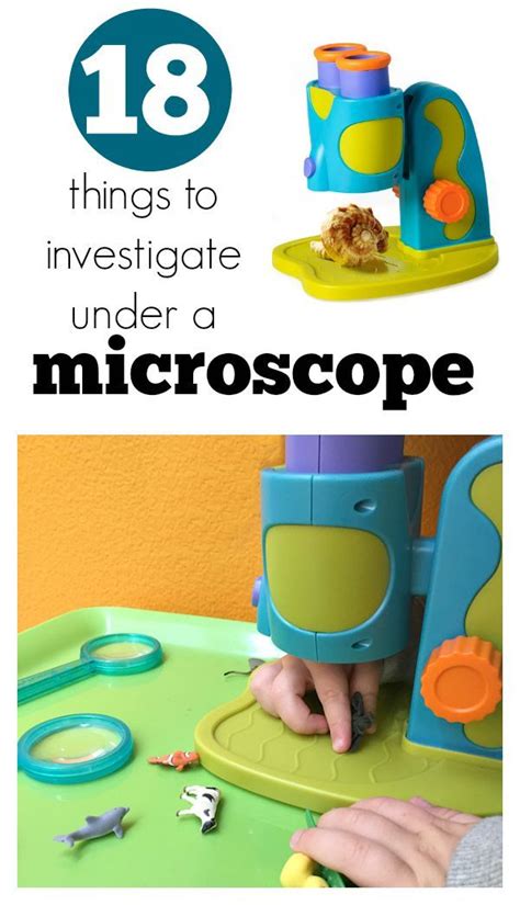 Preschool Microscope Activities Preschool Science Activities Science