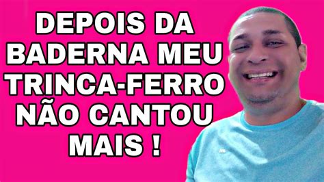 Seu Trinca Ferro Voltou Da Baderna E N O Cantou Youtube