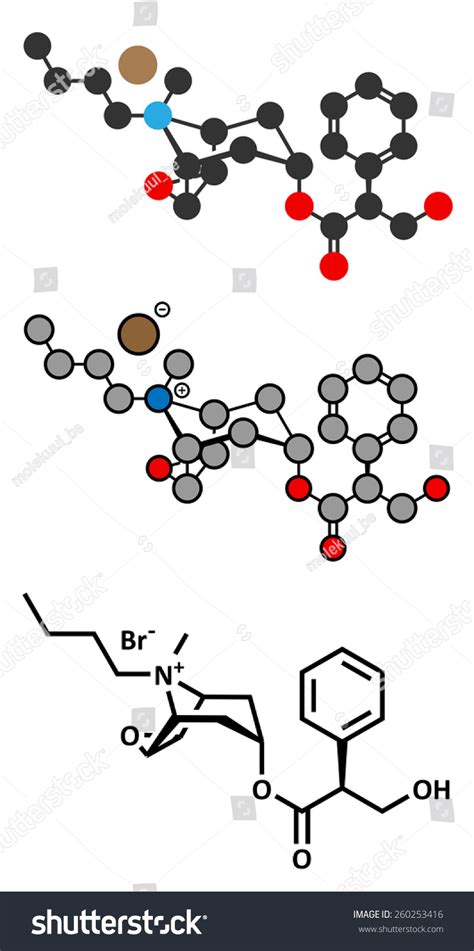 Butylscopolamine Hyoscine Butylbromide Scopolamine Butylbromide Butylhyoscine Stock Vector