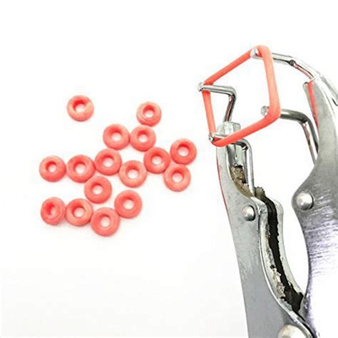 Badu.bg Кофа за хранене с мрежа Кофа за храна за пилета 1,5 кг ...