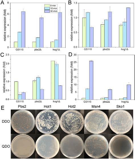 Regulation and interaction between transcription factors. (A-D) The ... 