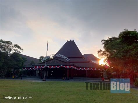 Review Kamera Infinix Hot G Ternyata Kayak Gini Hasil Fotonya Tuxlin Blog