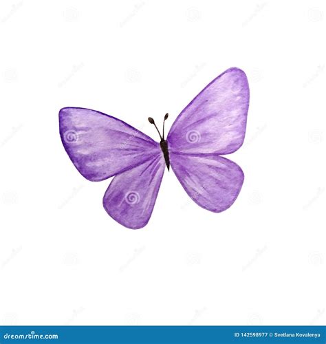 Purple Butterfly Fabric Panel | ubicaciondepersonas.cdmx.gob.mx