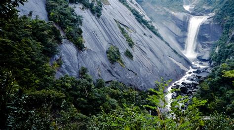 Yakushima National Park Tours - Book Now | Expedia