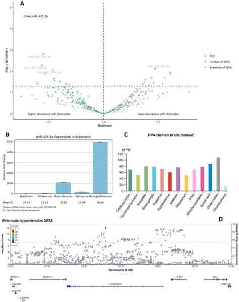 Ijms Free Full Text Circulating Microrna Mir 425 5p Associated With