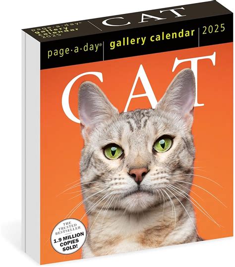 Page A Day Cat Calendar 2025 Vinny Jessalyn