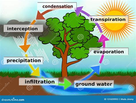 What Is Evaporation And Condensation