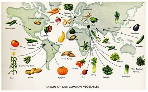 South Branch Science / Wood House Research: History of our Modern ...