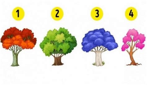 Tell Me Which Tree You Choose And Ill Tell You What Emotion Dominates