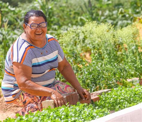 Programa de Aquisição de Alimentos beneficiou mais de 30 mil