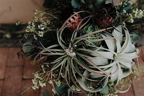 Mojavi Desert — Wild Child Floral Design