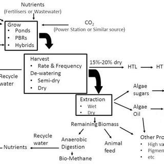 Closed Systems Pbrs Used For Microalgae Cultivation Tubular Pbr