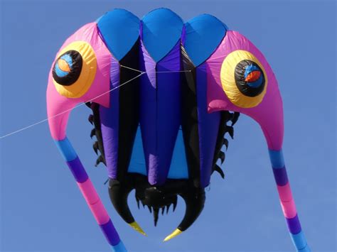 Kite Porn Kite Porn Twitter