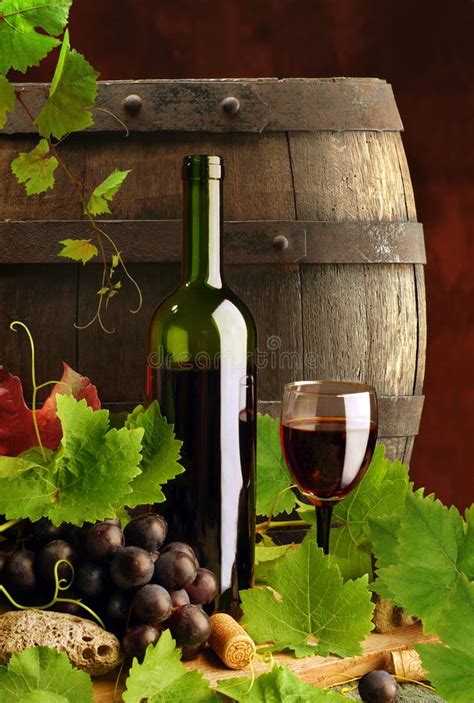 Red Wine Vine And Cask Stock Photo Image Of Dark Berries 8864798