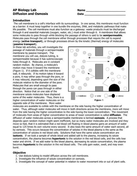 AP Biology Lab Diffusion And Osmosis