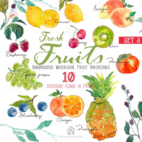 Fruits Watercolor Clipart Watercolor Fruit Clip Art Etsy