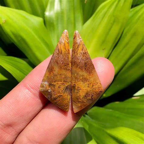 Natural Sagenite Plume Agate Pair Designer Cabochons For Silver
