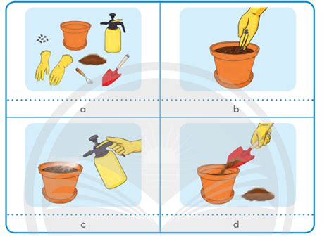 Em hãy sắp xếp các hình ảnh dưới đây vào cột hình minh họa trong bảng