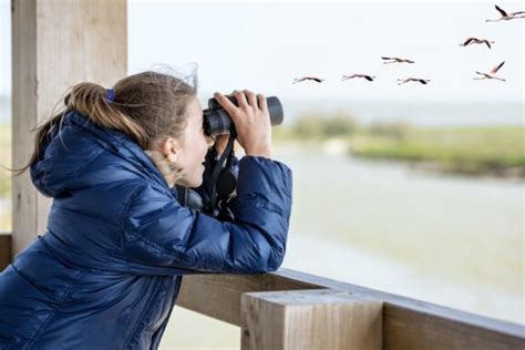 Vogelbeobachtung Tipps F R Hobby Ornithologen Plantura