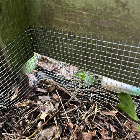 Rodent Proof Pest Repellent Steel Mesh