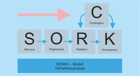 Sorkc Modell Verhaltensanalyse Psychotherapie Chur Coaching Und