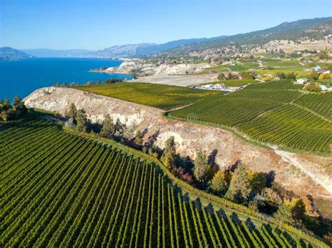 Naramata Bench Okanagan Lake Winery Vineyard Aerial Stock Photo Image