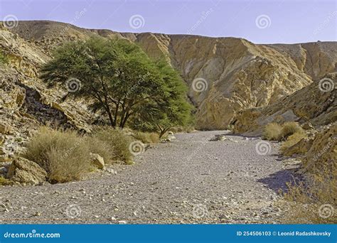 The Red Canyon In The Eilat Mountains Israel Stock Image Image Of