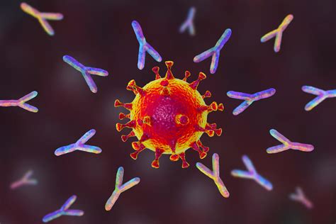 Anticorpos neutralizantes contra SARS CoV 2 Laboratório São Paulo