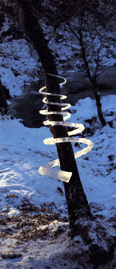 Artist Profile Andy Goldsworthy