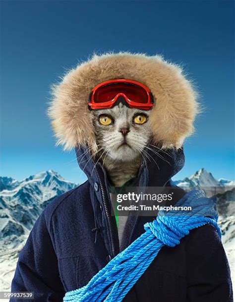 Funny Ski Mask Photos and Premium High Res Pictures - Getty Images