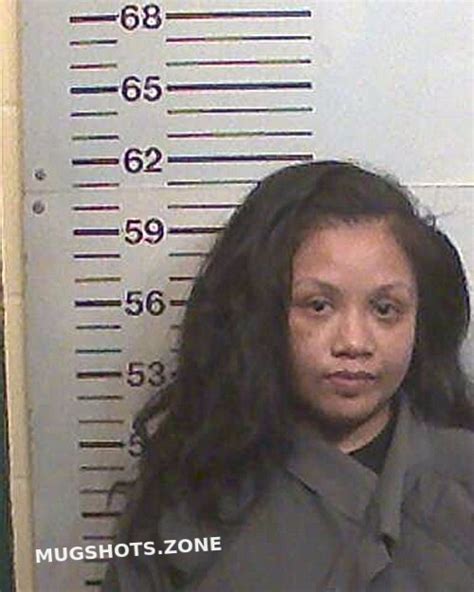 Manivong Linda 01022023 Hamilton County Mugshots Zone