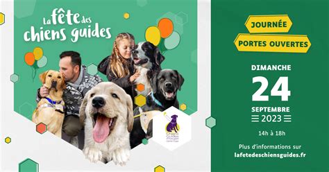 La F Te Des Chiens Guides Chiens Guides D Aveugles Du Centre Ouest