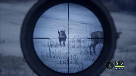 Thehunter Call Of The Wild Medved Taiga Missions The Boars Are