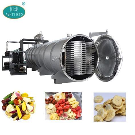 Frozen Fruit Vegetable Meat Herb Vacuum Freeze Dryer China Vacuum