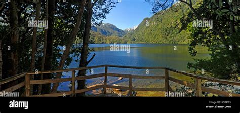alerce andino national park  res stock photography  images alamy