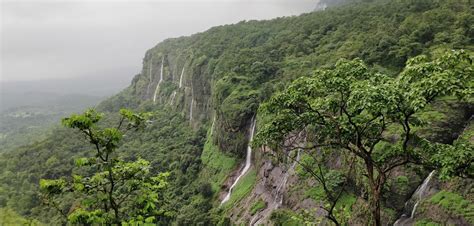 bhimashankar trek near mumbai pune - MumbaiPuneAdventures