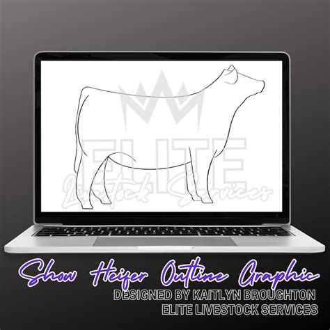 Show Heifer Outline Graphic - Etsy